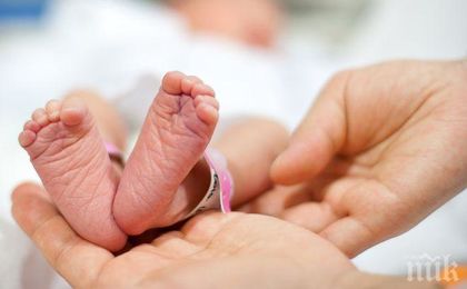 Само 5065 бебета родени в Пловдив през 2018 г.