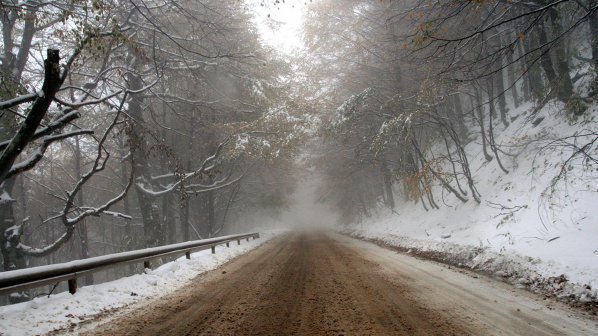 Вижте на кои телефони да звъните в случай, че попаднете в критична ситуация на пътя