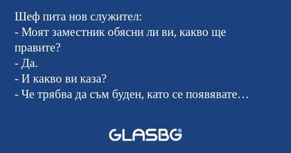 Шеф пита нов служител: - Моят заместник...