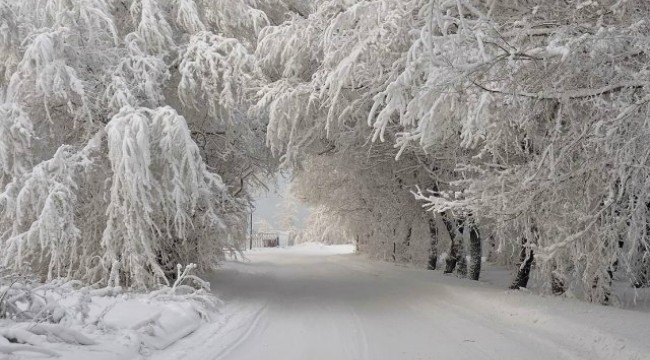 Код – Бяло
