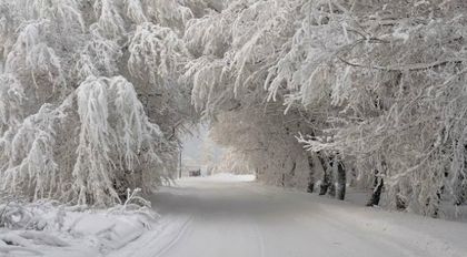 Код – Бяло
