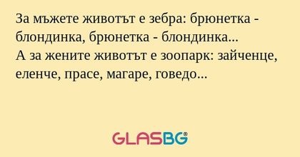 За мъжете животът е зебра: брюнетка...