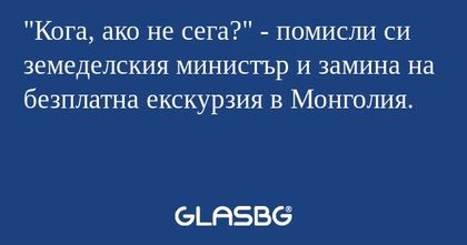 Кога, ако не сега?