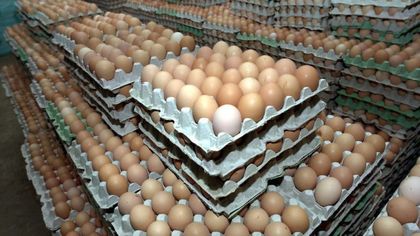 Стартира акция Великден и Гергьовден, проверяват магазини
