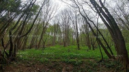 ПСС: Добри са условията в планините