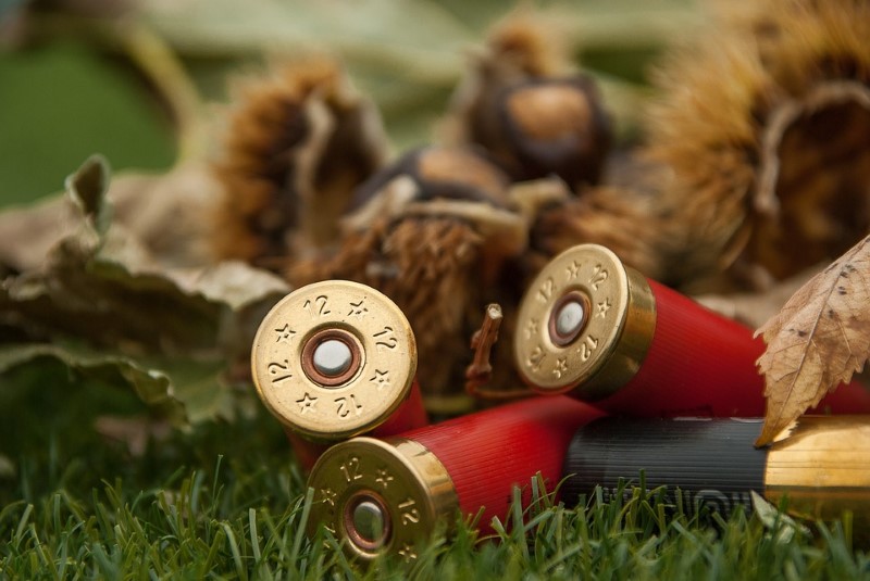 Добрич: Държавното горско стопанство е сред отборите с най-високи резултати на състезанието по стрелба с гладкоцевно оръжие