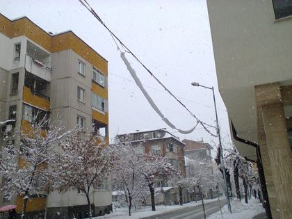 Кметът Тотев: Няма да има дървена ваканция! Спешно махат опасни жици