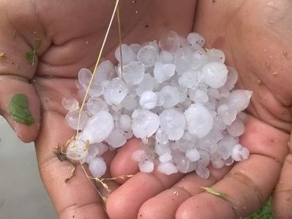 Градушка като лешник съсипа дряновско село