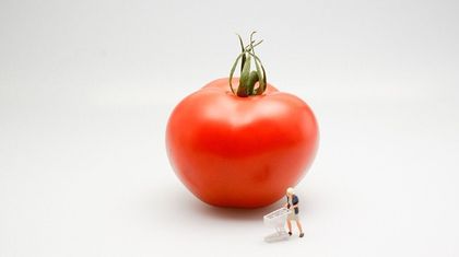 7 практически грешки, които правим, докато сме на диета