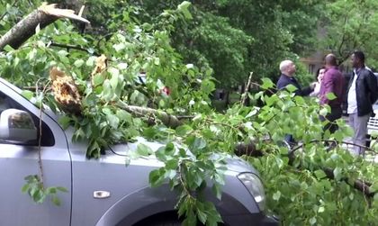 След урагана в Москва: 150 в болница, 11 жертви