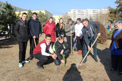 Учениците от ОУ „Драган Манчов“ организираха мащабна залесителна акция