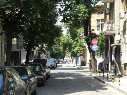 Застреляха котка посред бял ден на ул. Опълченска