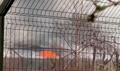 Голям пожар в един от най-популярните британски зоопаркове