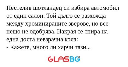 Пестелив шотландец си избира автомобил...
