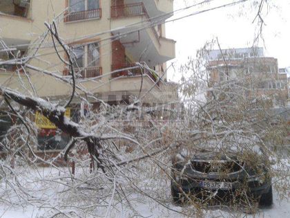 СНИМКИ/ВИДЕО/ Дървета мачкат коли в Пловдив, бедствие в Смолян (ОБЗОР)