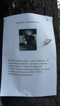 Търси се изгубено плюшено мече