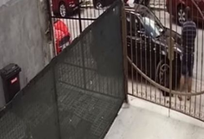 Йордан отиде на сватба във Варна, но злината, която му причини нагъл чичко ще помни дълго време (ВИДЕО)