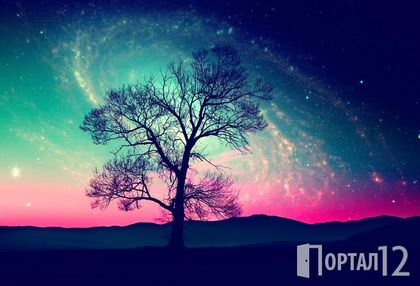 Семир Османагич: Душата има свое собствено пътешествие от живот в живот