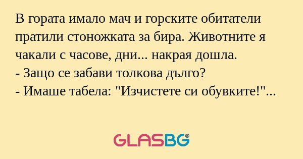 В гората имало мач и горските обитатели...