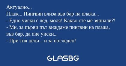 Актуално... Плаж... Пингвин влиза...