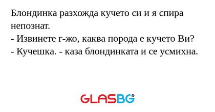 Блондинка разхожда кучето си и...