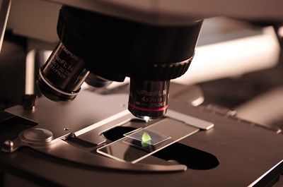 Учени откриха следи от древна цивилизация в Южна Америка