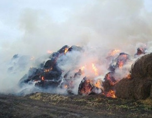 Огнена стихия в пловдивско село! 40 тона бали станаха на пепел