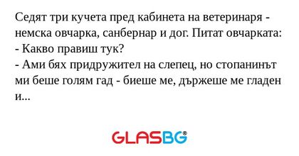 Седят три кучета пред кабинета...
