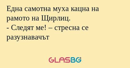 Една самотна муха кацна на рамото...