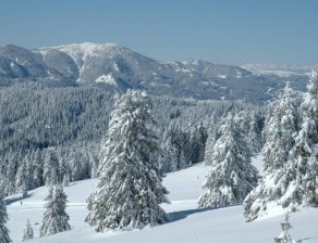 1,5 м сняг на Пампорово