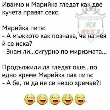 Вицове