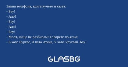 Звъни телефона, вдига кучето и...