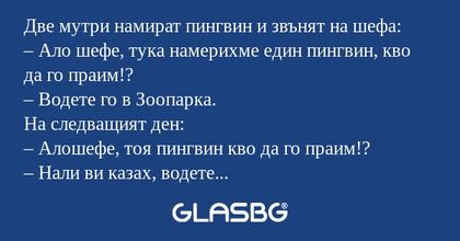 Две мутри намират пингвин и звънят...