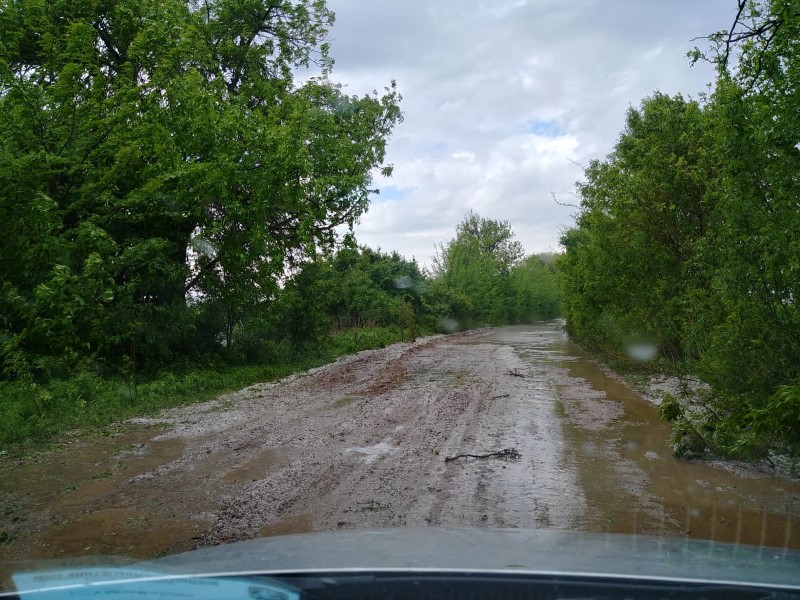 Плевен: Пътят между селата Каменец и Одърне е наводнен в следствие на обилния дъжд