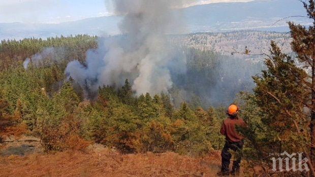Два горски пожара бушуват на гръцкия остров Закинтос