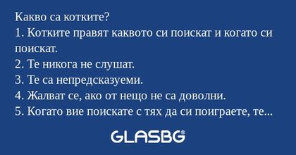 Какво са котките? 1. Котките правят...