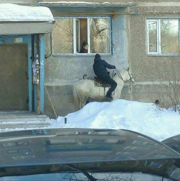 В Пловдив има рицари на бели коне! ФОТО ДОКАЗАТЕЛСТВО
