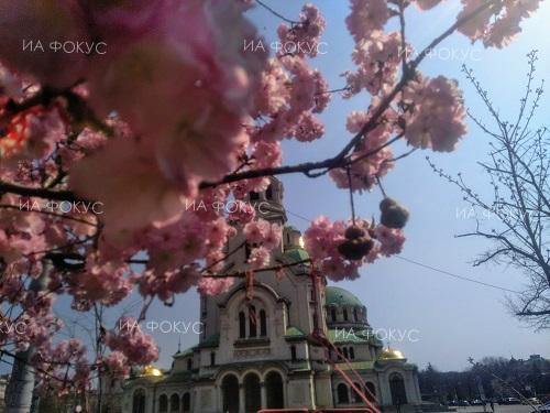 Предстоящи събития в страната за 13 май (Агенция „Фокус“)
