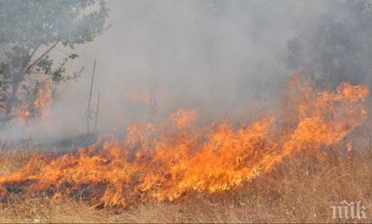 По-високи глоби за палене на стърнища