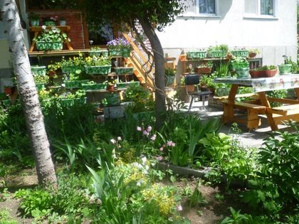 Вижте красивите градинки пред блоковете в