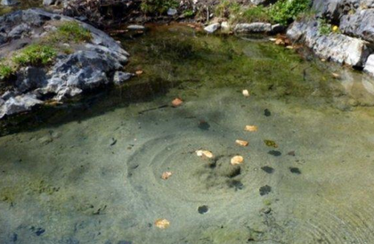 ЧУДО! Лековита вода в родопско село дава втори живот