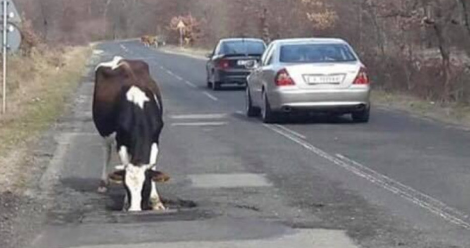 Протест в Гърмен заради лошите пътища