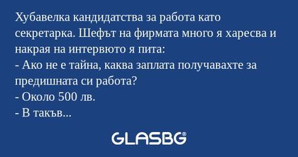 Хубавелка кандидатства за работа...