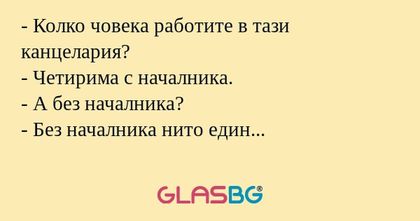 Колко човека работите в тази...