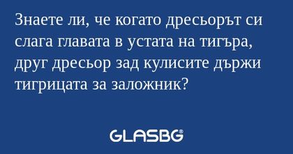 Знаете ли, че когато дресьорът...