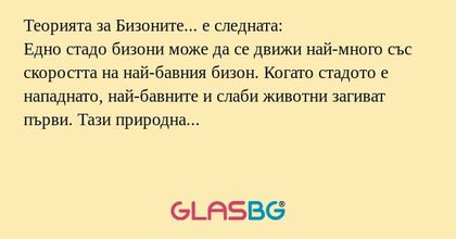 Теорията за Бизоните... е следната...