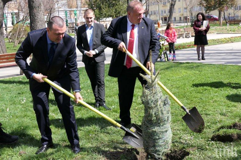 Горски директори от цяла Европа ще садят дръвчета в Рила