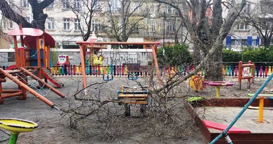Гневен варненец показа какво значи пълна безотговорност! Повредиха детска площадка докато рязаха клони зад театъра
