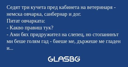 Седят три кучета пред кабинета...