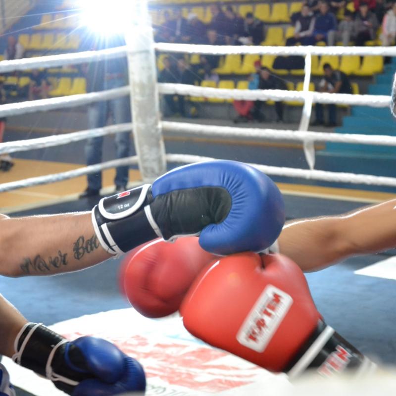 MMA.BG: 'Кралят на циганите се завръща! Фюри срещу Шварц през юни
